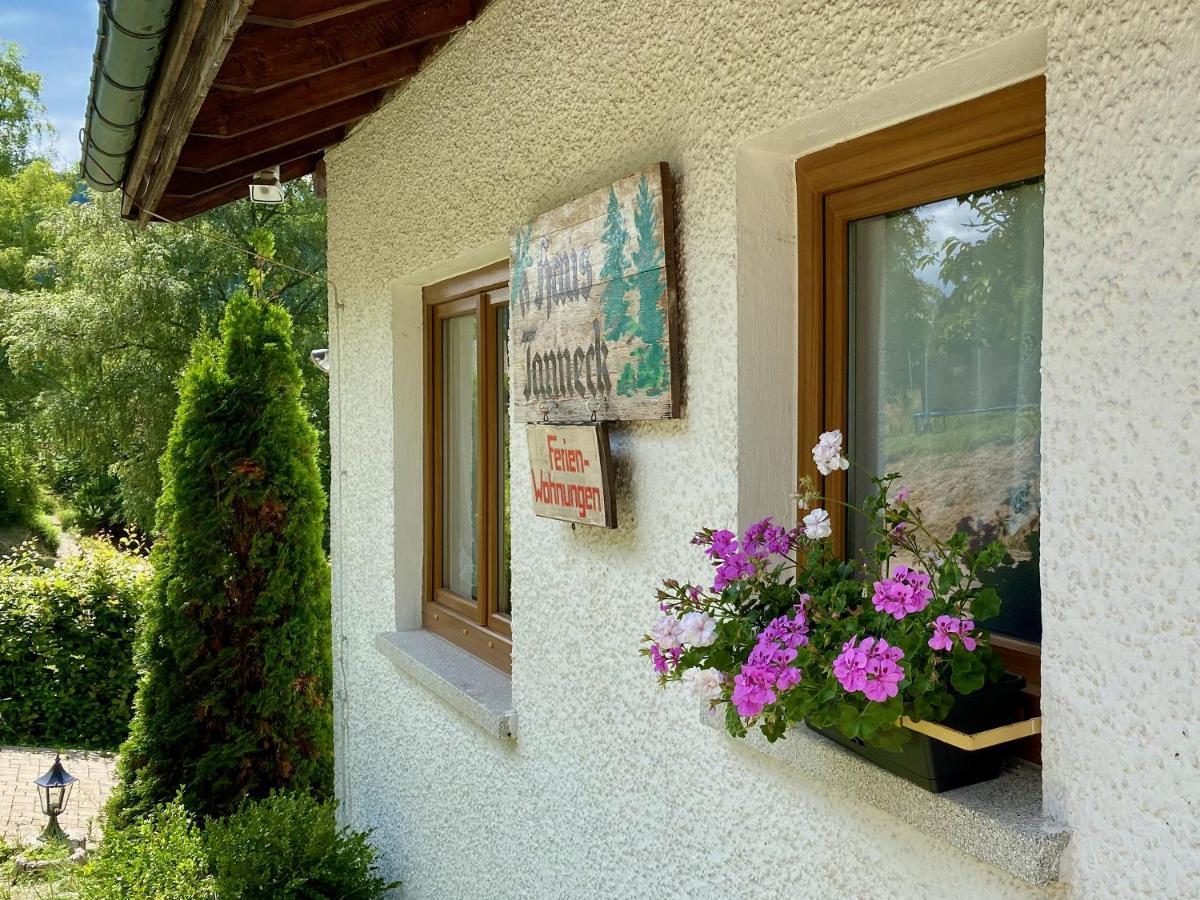 Haus Tanneck Apartamento St. Blasien Exterior foto